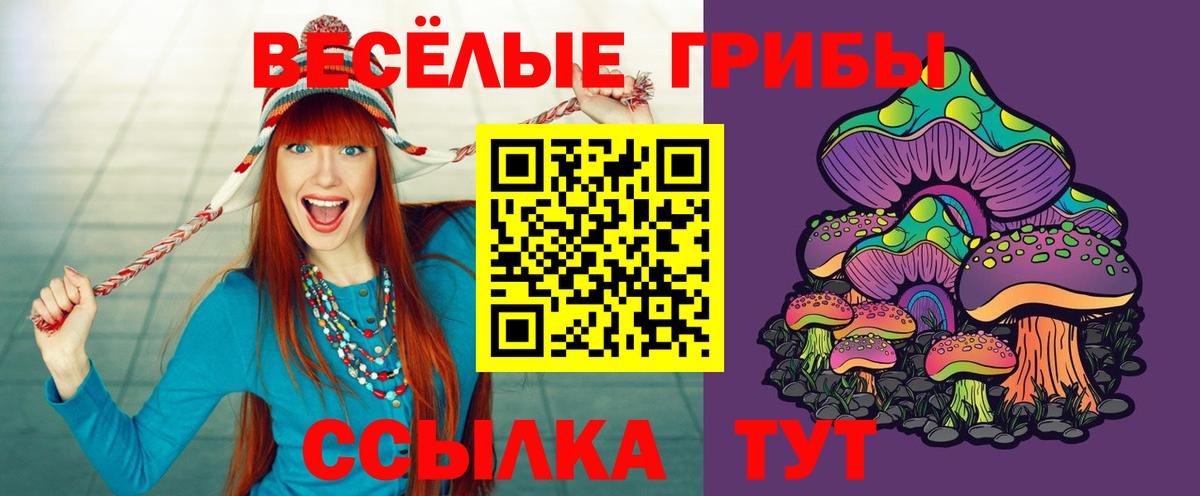 Псилоцибиновые грибы Psilocybe Ялуторовск
